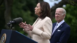 Abortion, Israel-Hamas War, criminal justice: Where Harris' agenda could break from Biden's on key issues for voters